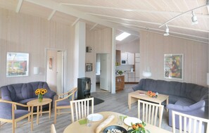 Fernseher, Kamin