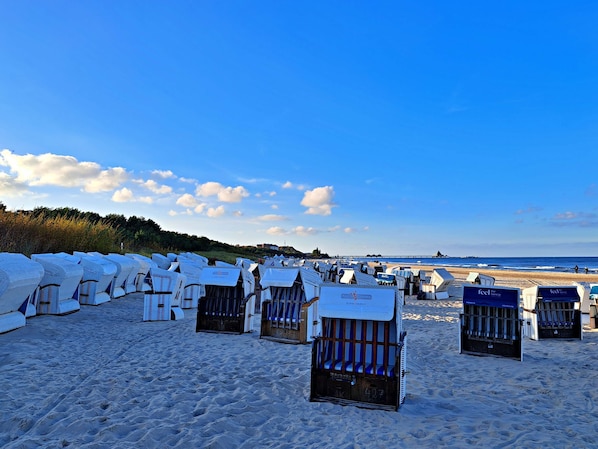 Beach chairs arranged on a sandy beach with a clear sky.