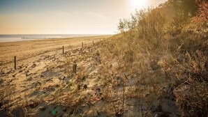 Une plage bordée d’une clôture en bois et où la végétation est clairsemée.