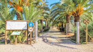 A pathway lined with palm trees and signs indicating a natural municipal area. - Nice apartment in Arenales del Sol with swimming pool (Arenales del Sol)