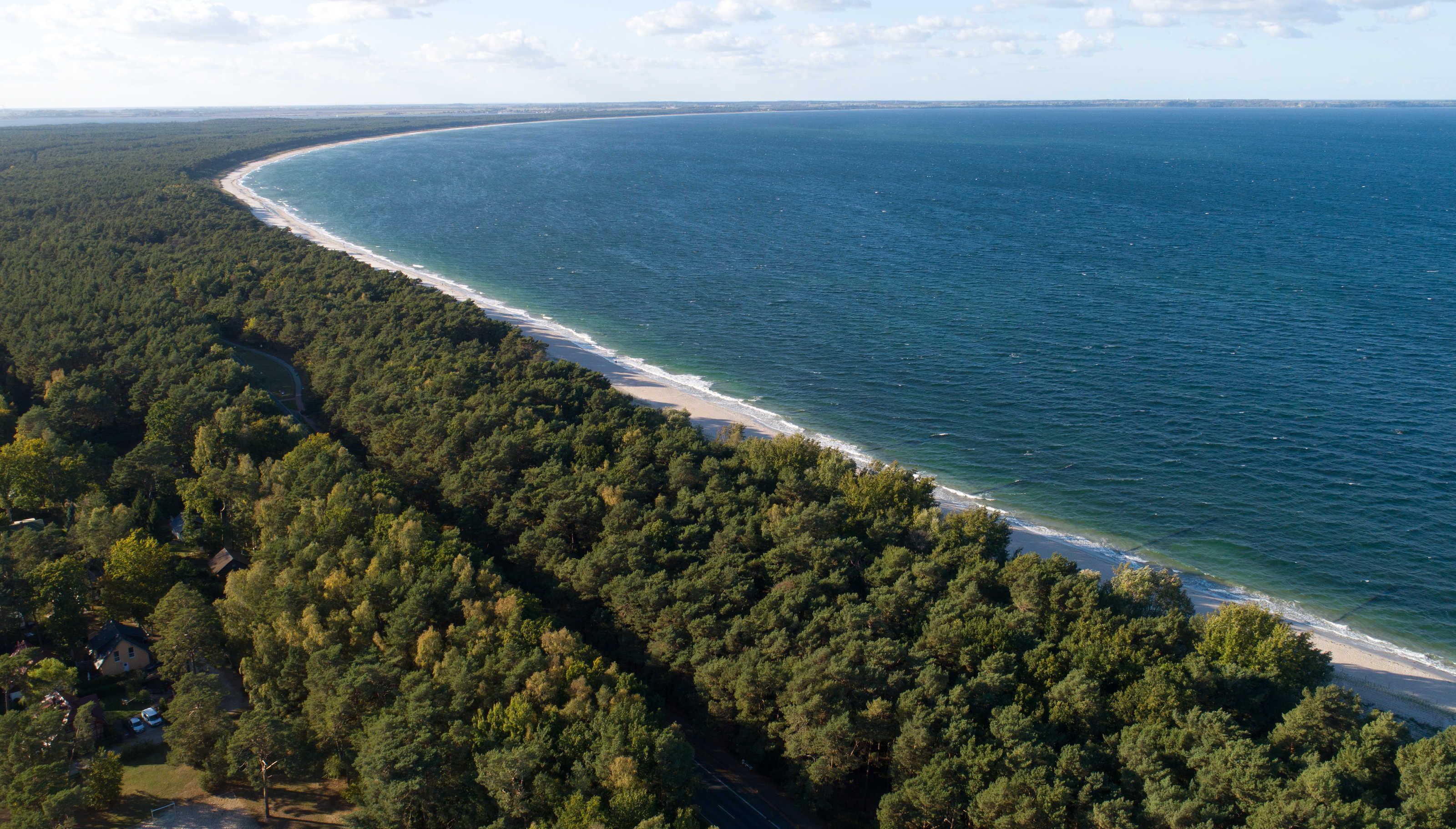 An aerial view of a coastal area with a beach, dense forest, and a road.