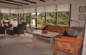 TV, fireplace, DVD player