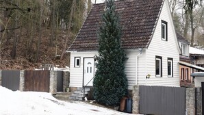 Ein eingeschossiges Haus mit Satteldach, einer Haustür und einem großen immergrünen Baum davor.
