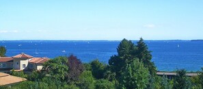 Une vue sur la côte, avec des maisons, des arbres et des bateaux sur l’eau.