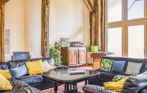 Televisión, chimenea, reproductor de DVD y tenis de mesa