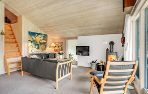 TV, fireplace, DVD player