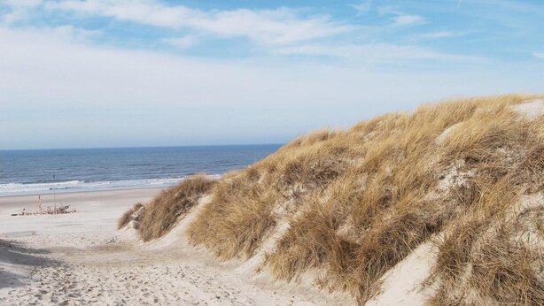 Una playa con dunas de arena y una vista despejada del océano.