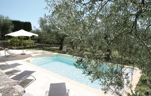 Una piscina con sillas de descanso y una sombrilla, rodeada de olivos.