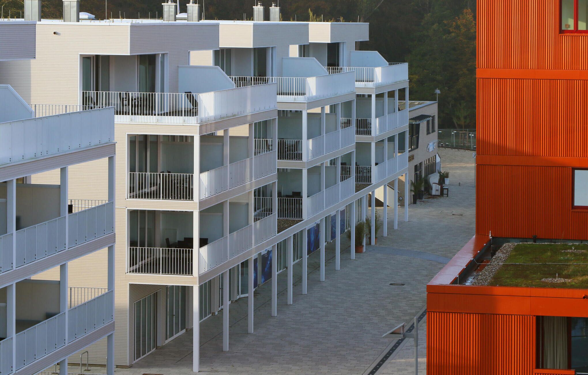 Eksteriør