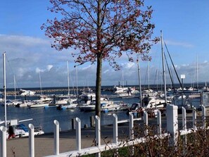 Billede uden beskrivelse, 4 af 12, knap