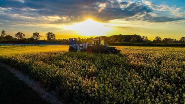 Imagen sin descripción, 1 de 11, botón
