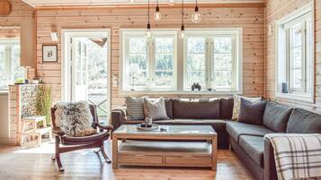 Televisio, takka, DVD-soitin