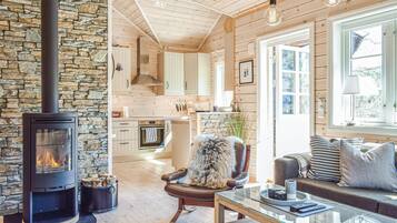 Televisio, takka, DVD-soitin