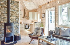 Televisión, chimenea y reproductor de DVD 