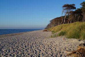 Spiaggia