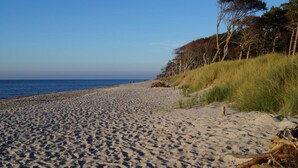A sandy beach with a clear sky and trees in the background.