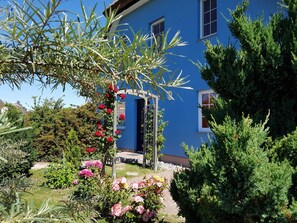 A blue house with a garden, including a pergola with flowers and a pathway.
