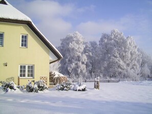 A yellow house with a snow-covered lawn and trees.