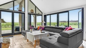 تلفزيون