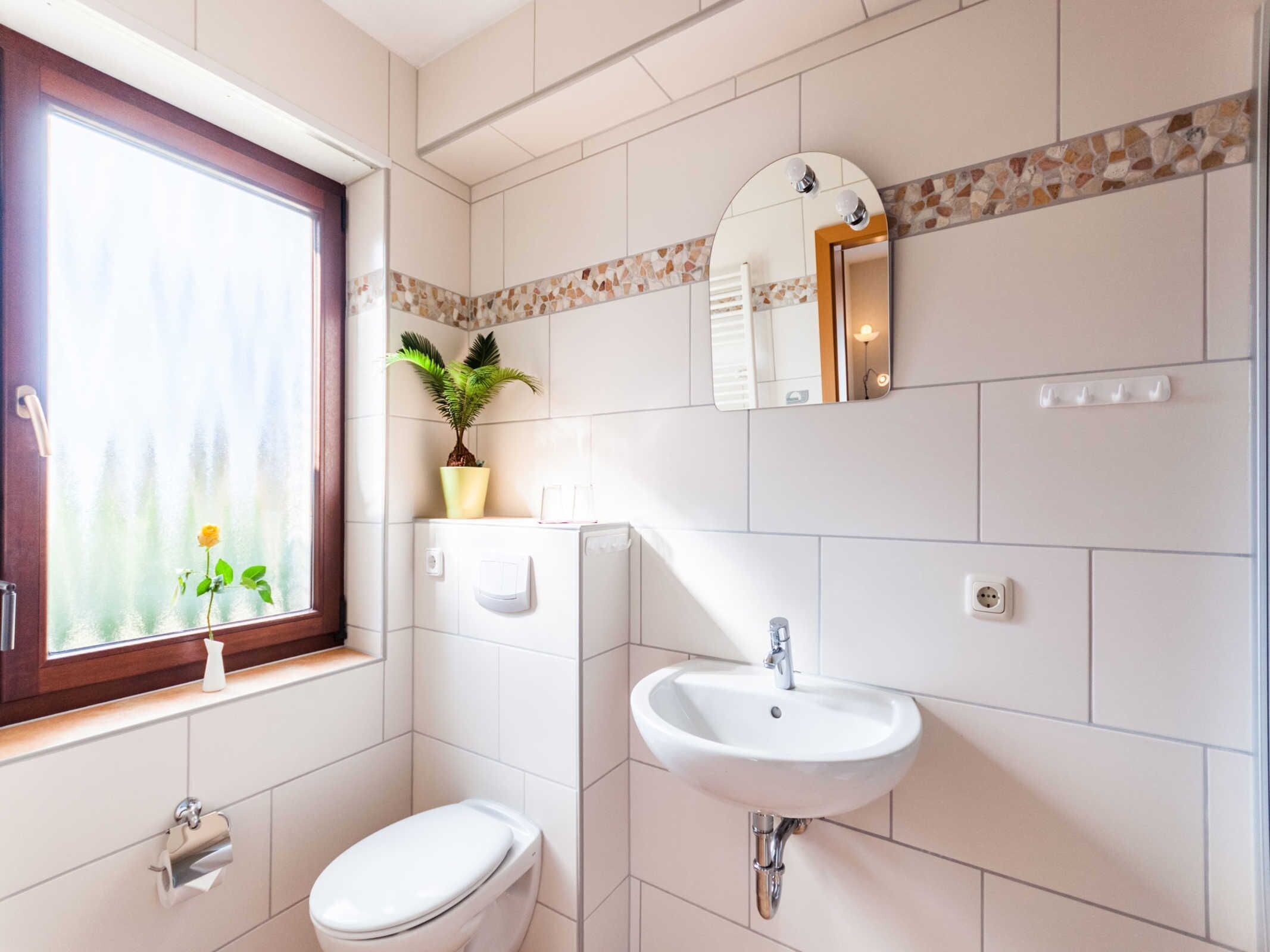 Ein Badezimmer mit Toilette, Waschbecken, Spiegel und einem Fenster mit Pflanze.
