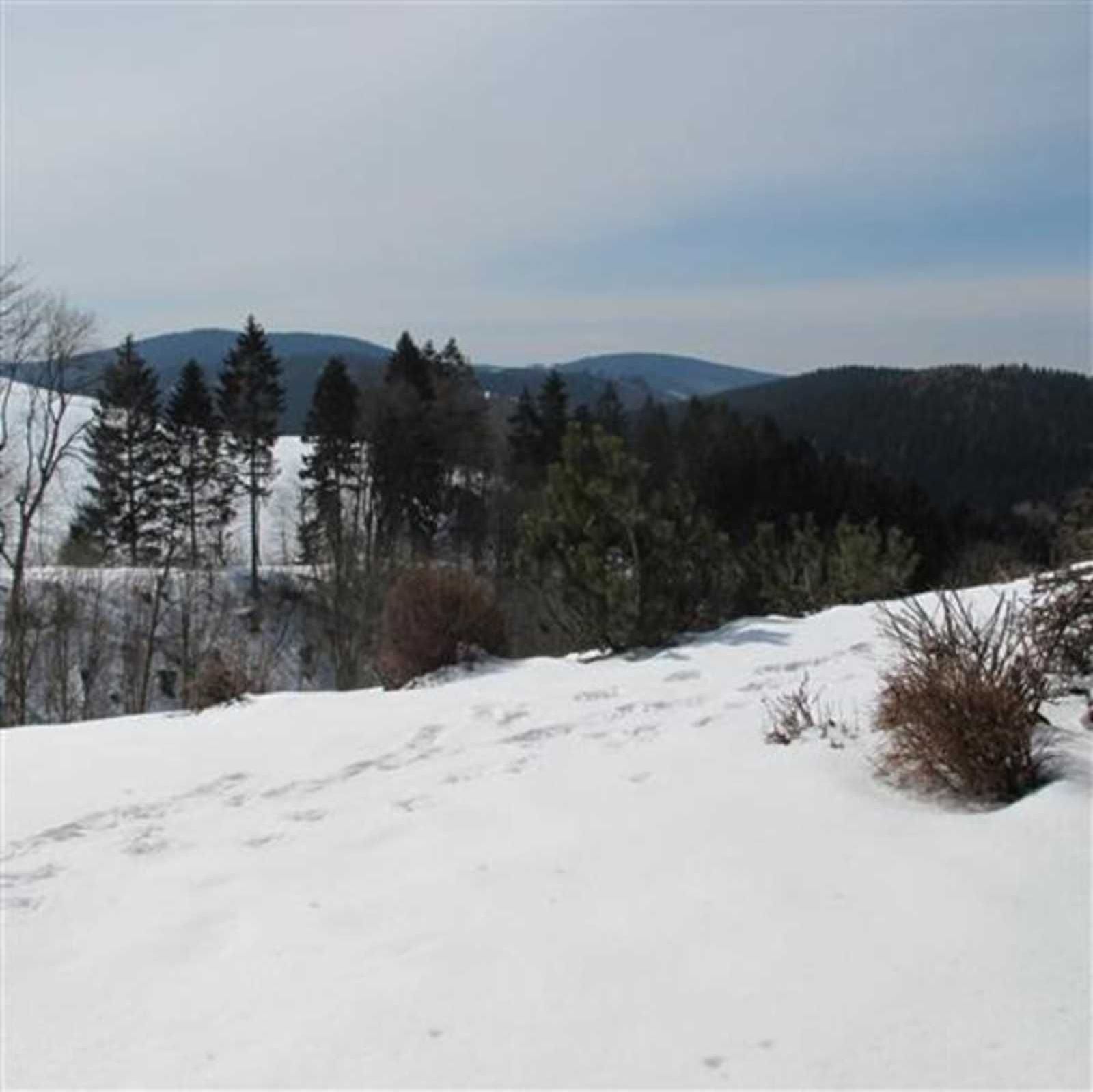 A snowy landscape with trees and a clear sky.