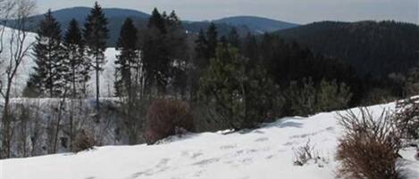 A snowy landscape with trees and a clear sky.