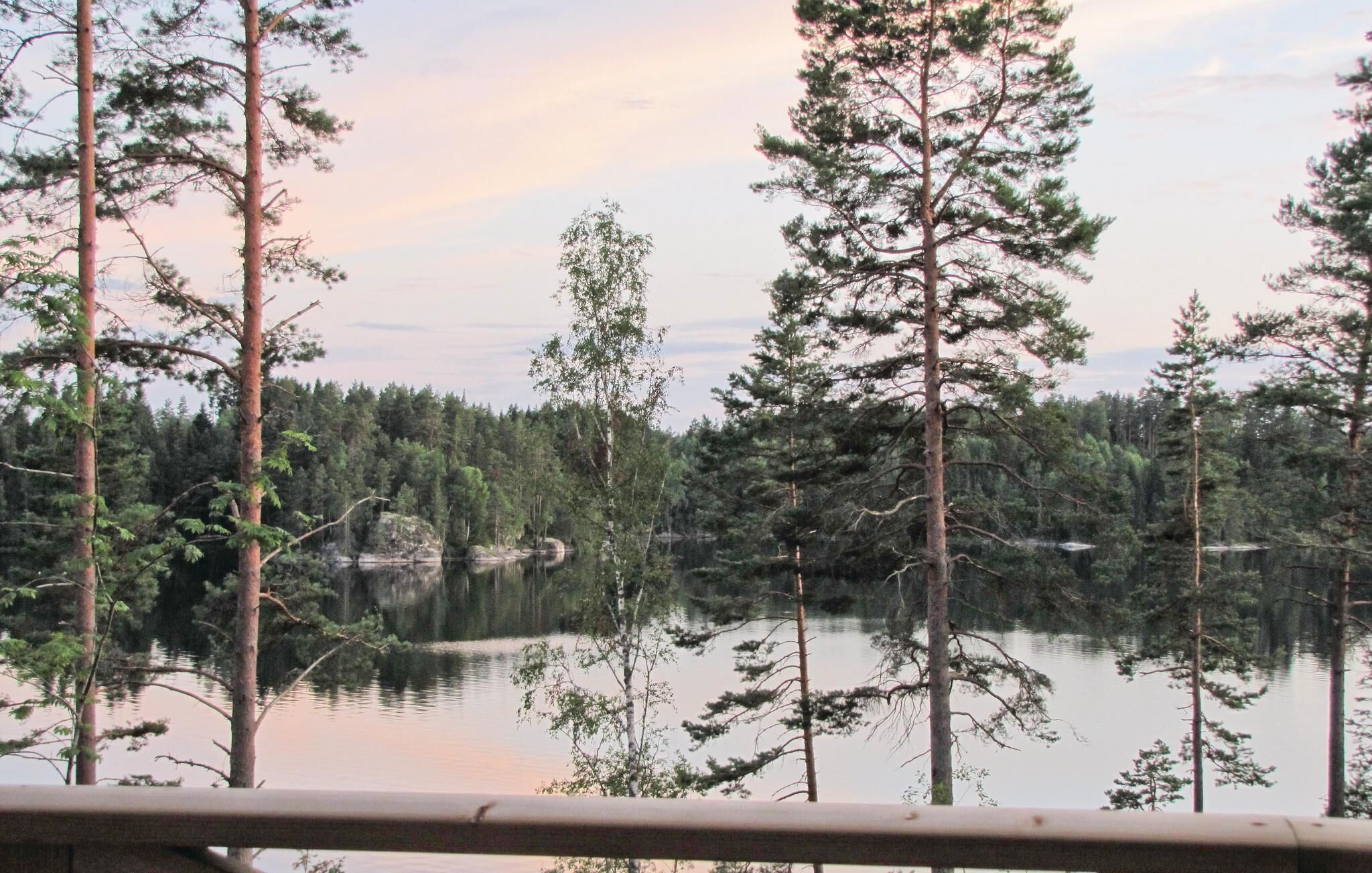 A forested area with a calm lake and tall trees.