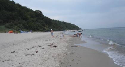 Gutspark Schwarbe with Reiterhof - Bungalow - Bungalow Storch