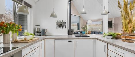Fridge, stovetop, dishwasher, coffee/tea maker