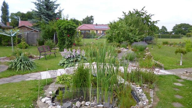 Un jardín con un estanque, un banco de madera y una casa al fondo.