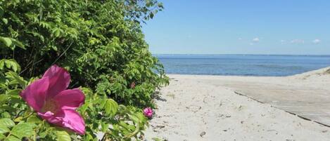 Tæt på stranden
