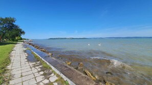 بالقرب من الشاطئ