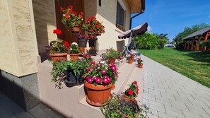 المنطقة المحيطة بالمنشأة