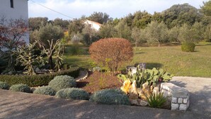 A garden with various plants and a stone wall. - Holiday apartment with terrace (Kampor)