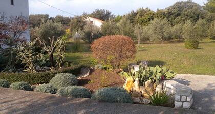 Holiday apartment with terrace