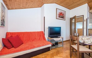 Fernseher