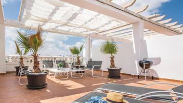 Terras