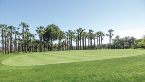 Un campo da golf con un green curato, una bandierina e alte palme che costeggiano il fairway.