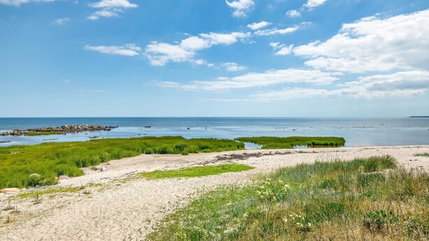 Eine Küstenlandschaft mit sandigem Strand, grüner Vegetation und ruhiger See unter einem bewölkten Himmel.