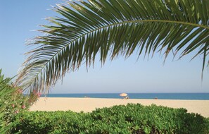 Beach nearby, fishing