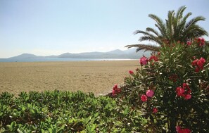 Beach nearby, fishing