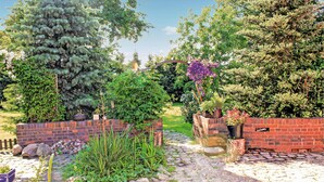 A garden pathway with brick walls, various plants, and trees. - Cozy home in Nowe Warpno with ethernet internet (Nowe Warpno)