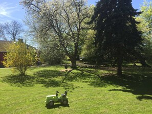 Jardines del alojamiento