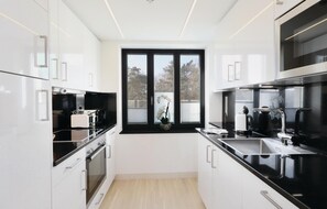 Kühlschrank, Mikrowelle, Herdplatte, Geschirrspüler