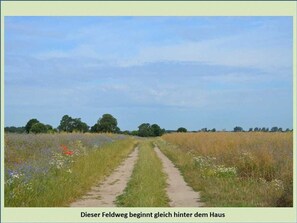 Uklassifisert bilde, 4 av 9, knapp