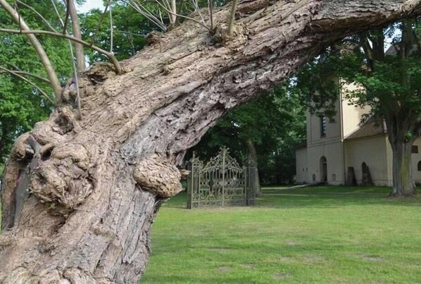 Terrain de l’hébergement 