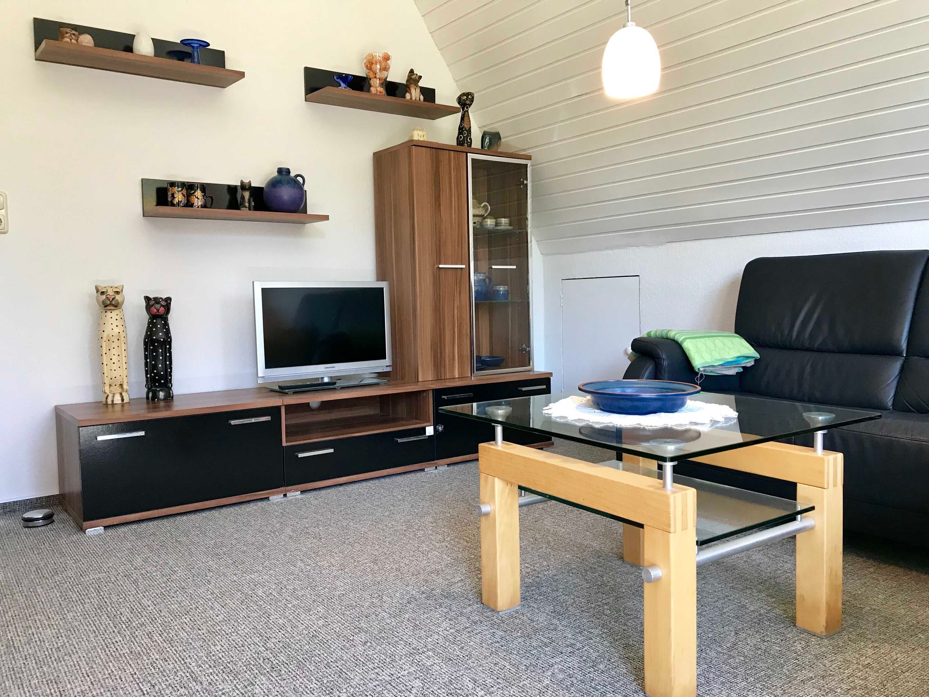 Fernseher
