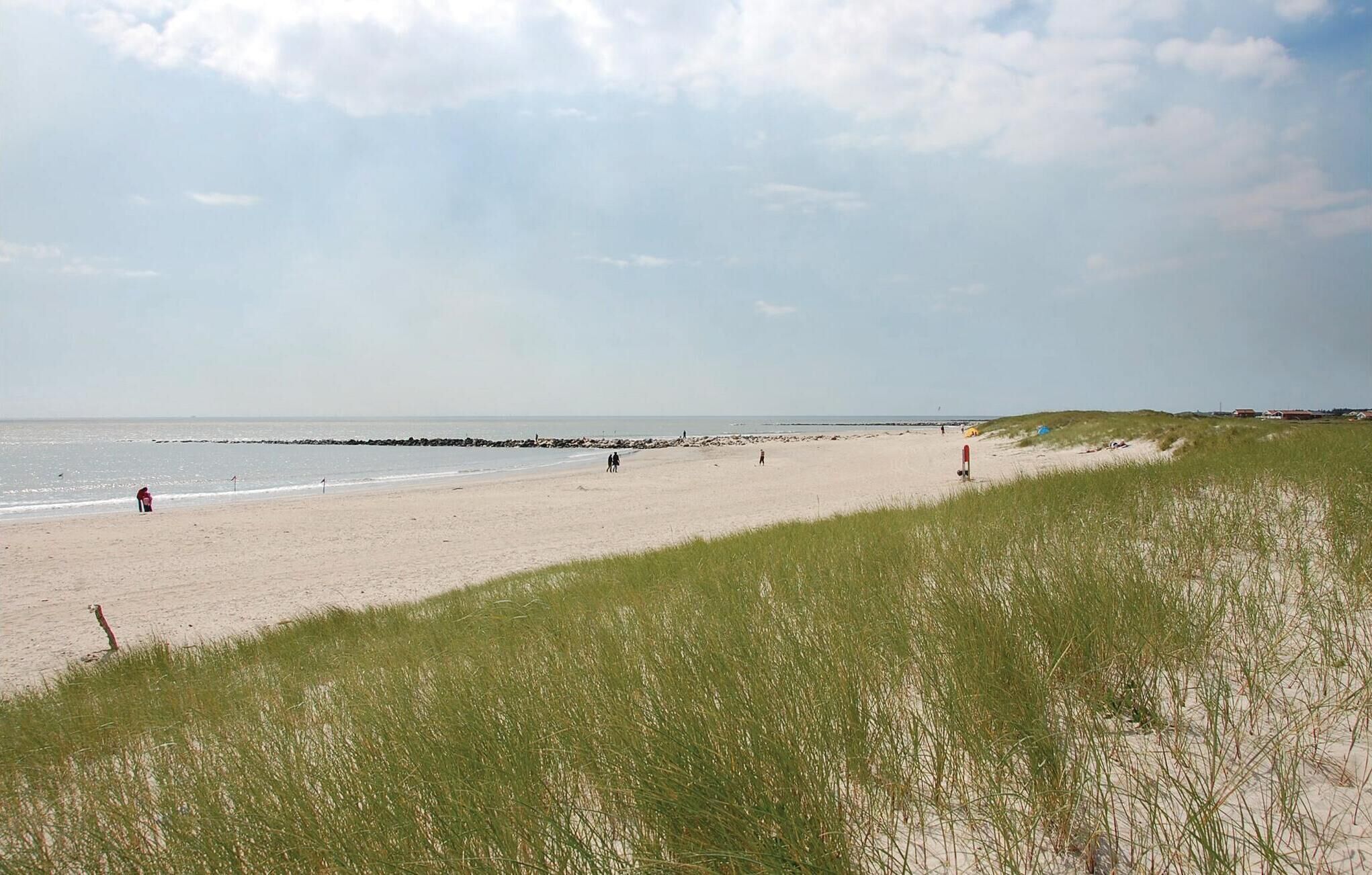 Ein Strand mit einer Düne im Vordergrund und einem klaren Himmel.
