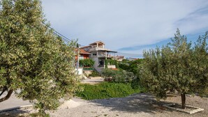 A two-story house with a balcony, surrounded by olive trees and a gravel driveway.