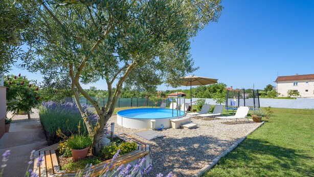 Ein Garten mit Swimmingpool, Liegestühlen und einem Baum.